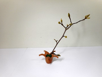 モクレンを生けた写真