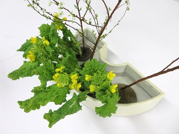 ナノハナを生けて上から見た写真