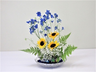 写真：令和5年度　季節の花（5月　初夏の花）