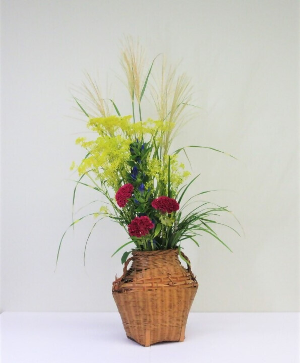 写真:季節の花 令和5年9月