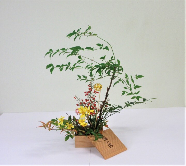 写真:季節の花 令和5年1月