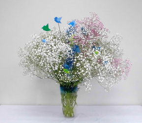 写真：令和4年度　季節の花（5月）