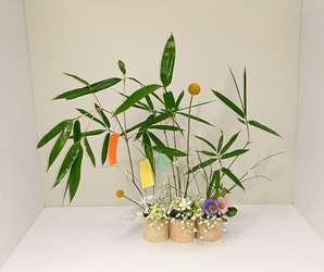 写真：令和4年度　季節の花（7月）