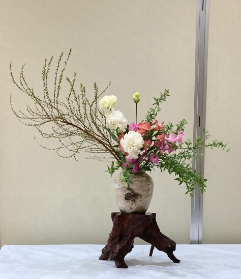 写真:季節の花 令和5年3月