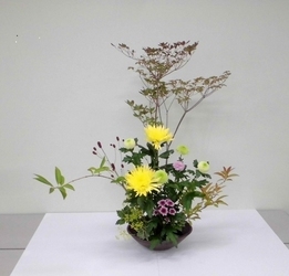 写真：令和3年度　年中行事の花（9月）