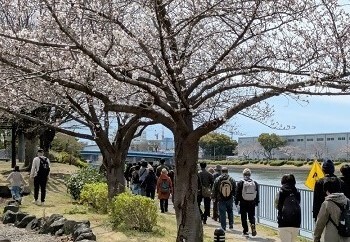 写真:ぐるりんウォーキングでのウォーキングの様子