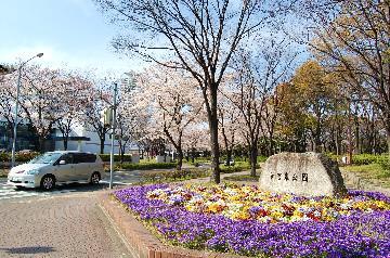 写真：神宮東公園入口