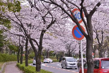 写真：神宮東公園西側