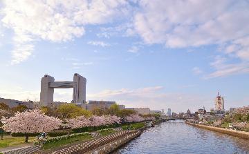 写真：国際会議場と桜