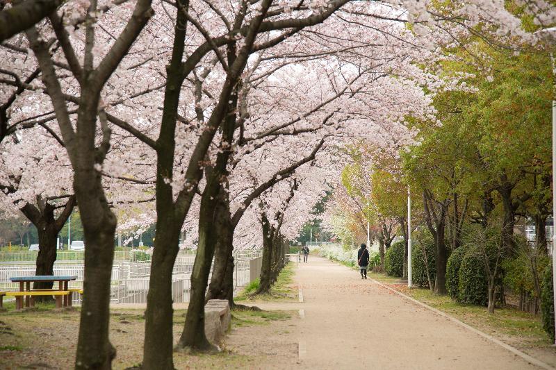 写真：熱田を旅立つ人をイメージしたもの　その2