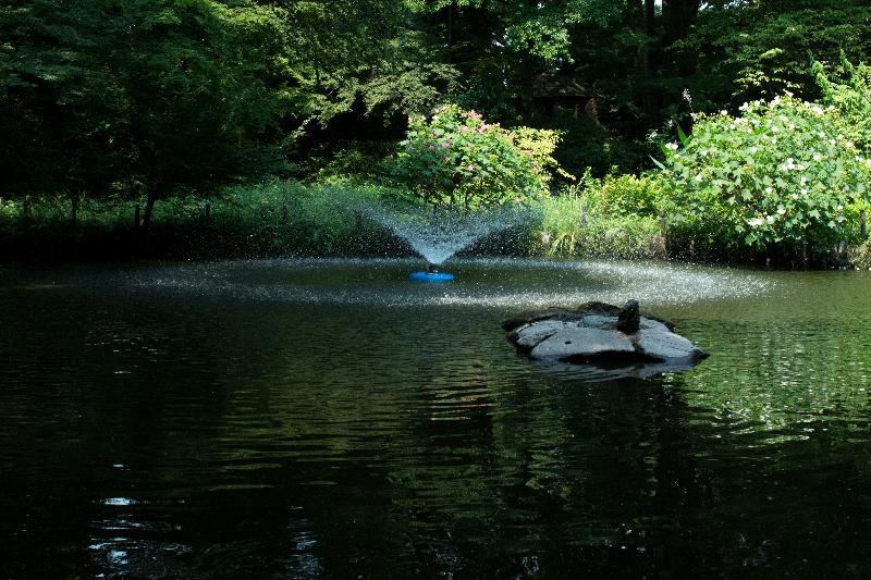 写真：熱田神宮　南神池