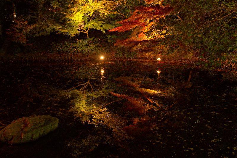 写真：芝生広場から見た下の池