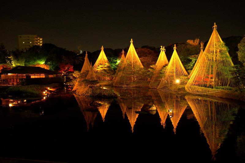 写真：出会橋から見た雪吊り