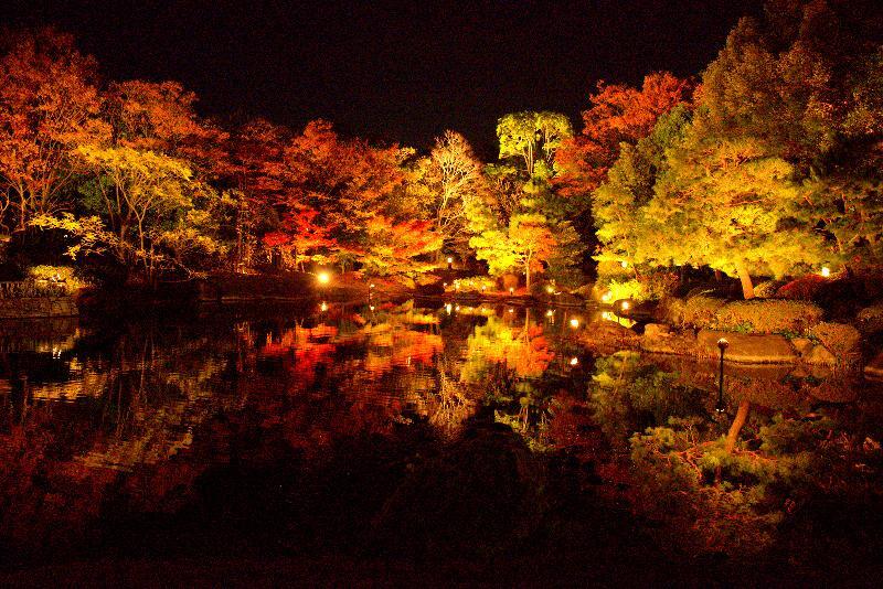 写真：英傑島から見た中の池