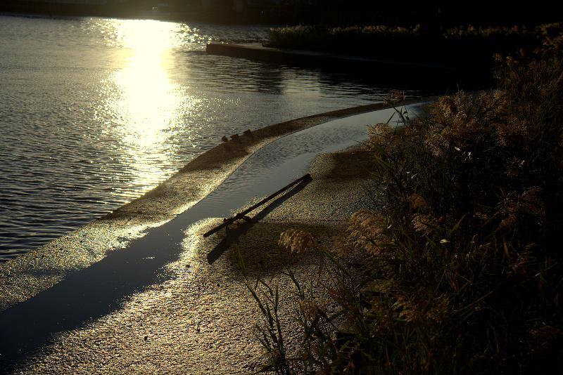 写真：宮の渡し公園　護岸と夕日