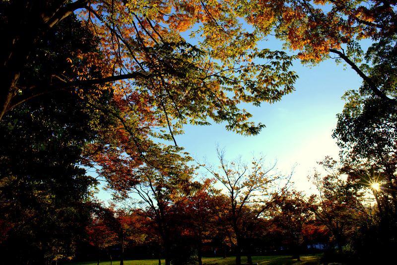 写真：神宮東公園広場