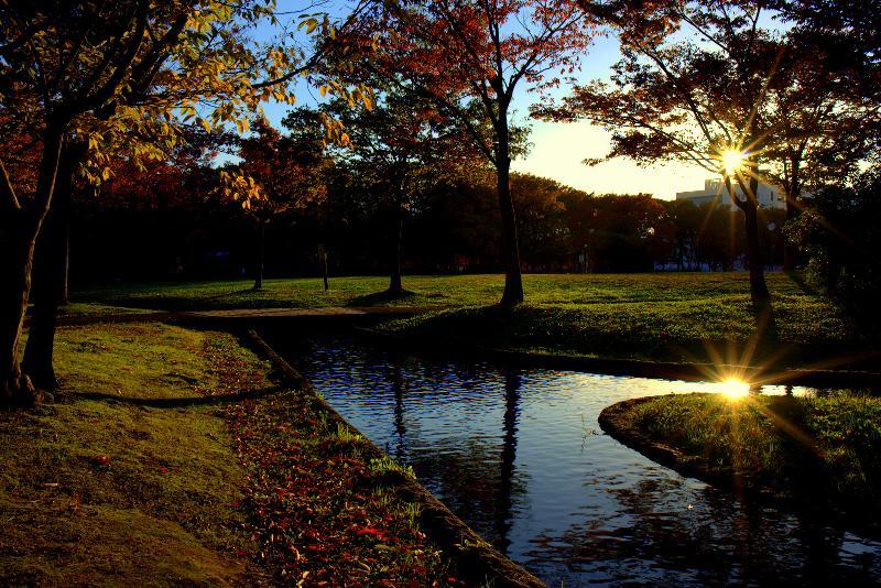 写真：神宮東公園　広場2
