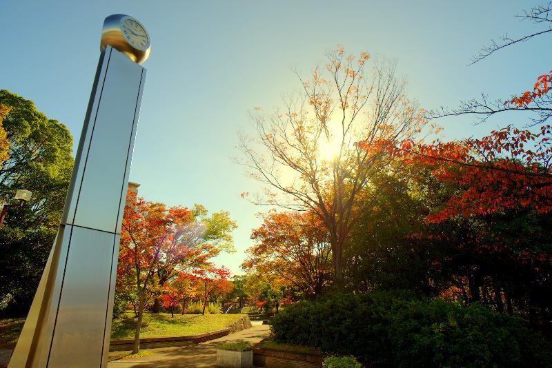 写真：神宮東公園　南側
