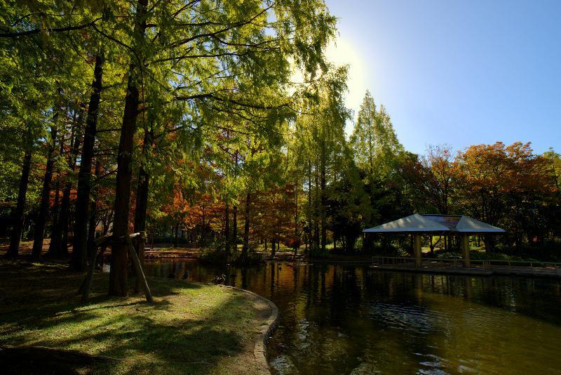 写真：神宮東公園北側池