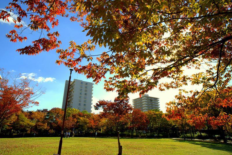 写真：神宮東公園広場