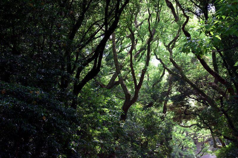 写真：西門から宝物殿・文化殿を見た景色