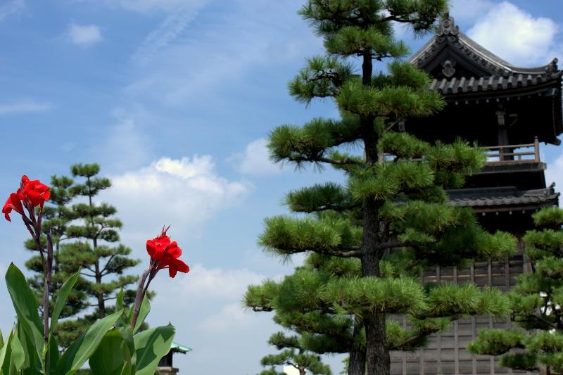 写真：宮の渡し公園