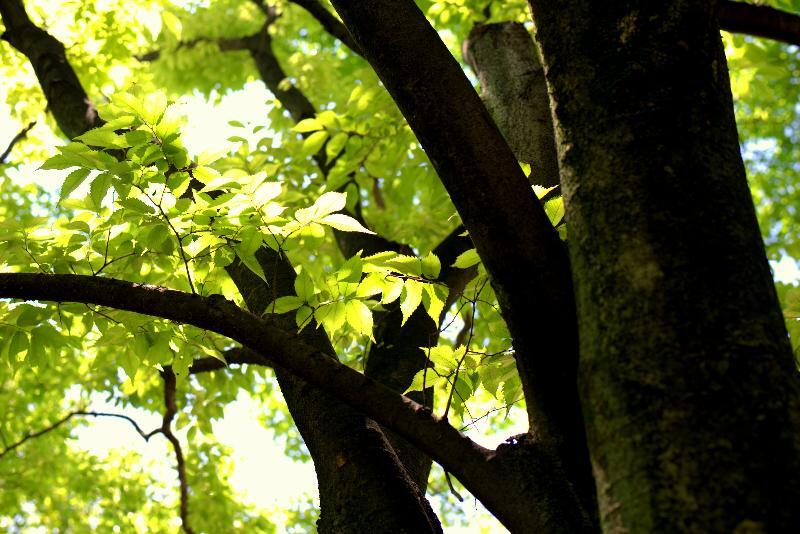 写真：光に照らされる輝いている様子