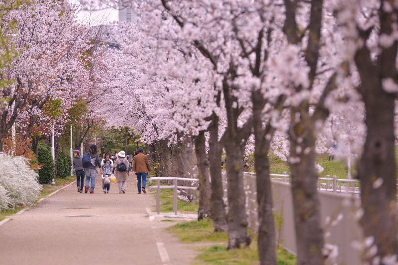 写真：白鳥公園太夫堀西側