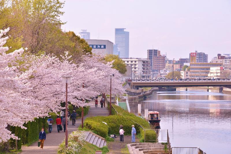 写真：熱田記念橋から見た白鳥プロムナード（北）の眺め