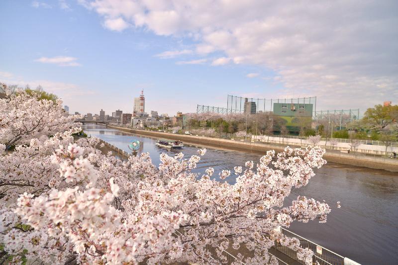 写真：白鳥公園側から見た熱田球場側景色