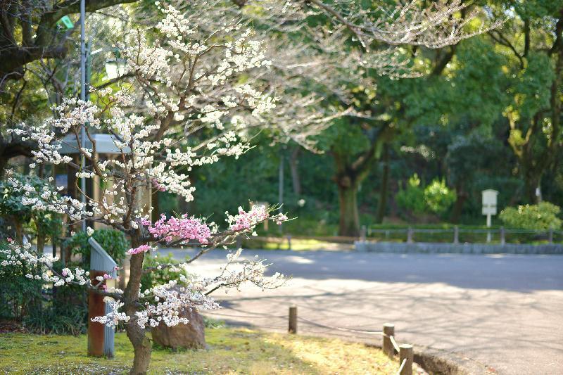 写真：集合場所（断夫山古墳北）