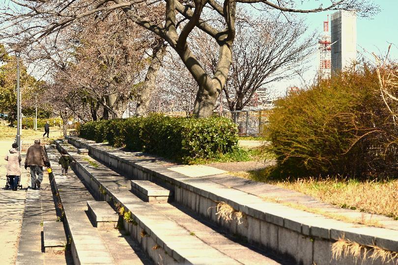 写真：公園を散歩する様子