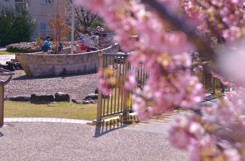 写真：船と模型と子どもと紅梅
