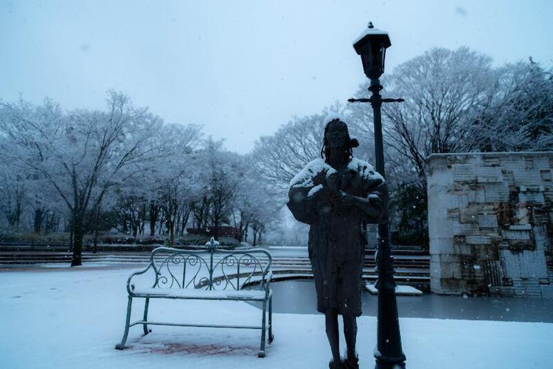 写真：神宮東公園「待つ日」