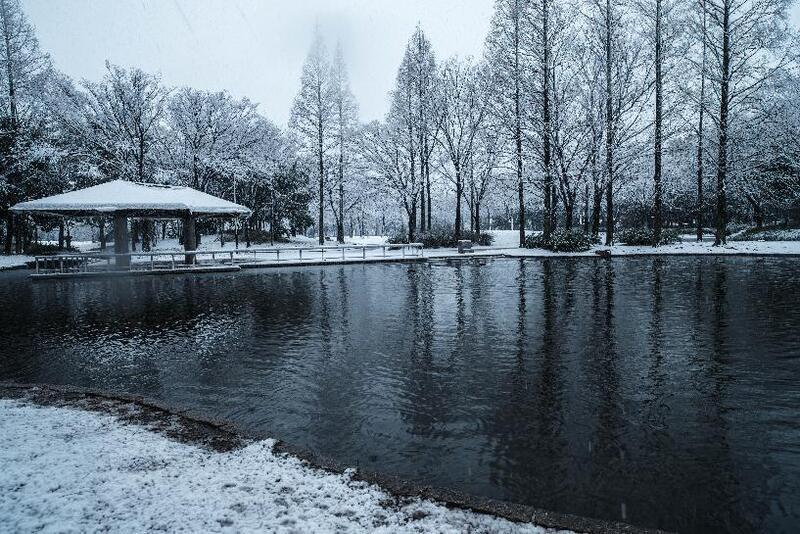写真：池と雪景色