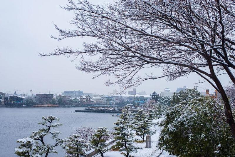 写真：歩道橋から見た宮の渡し公園