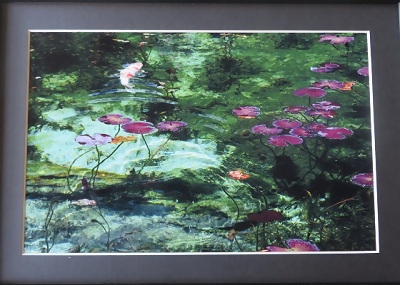 写真：写真教育委員会賞