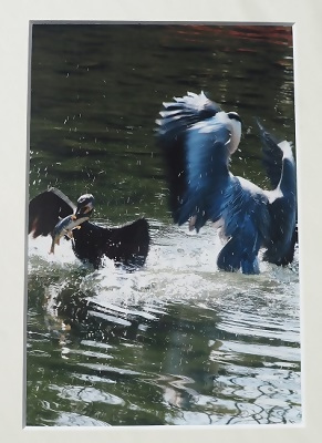 写真：写真中日賞