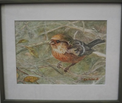 写真：洋画教育委員会賞