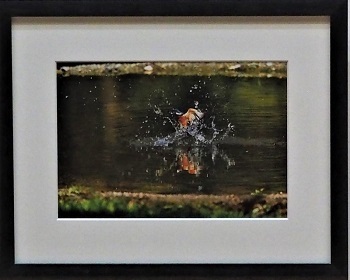 写真:写真区長賞