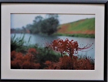 写真:写真教育委員会賞