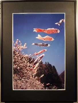 写真:写真教育委員会賞