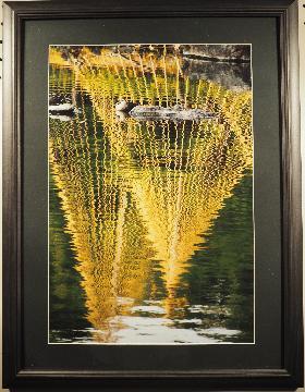 写真:写真区政協力委員協議会議長賞