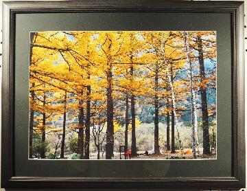 写真:写真中日賞