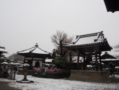 写真:荒子観音寺雪景色