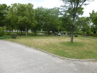 写真：富田公園内