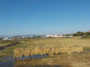 写真:雲一つない快晴