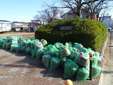写真:集めたごみの集積所