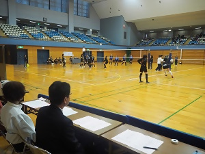 写真:観戦している様子