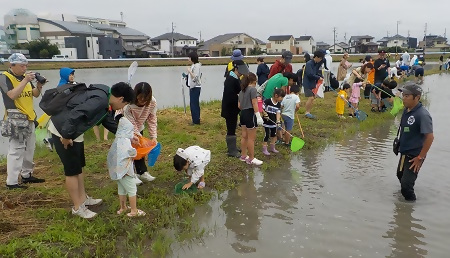 写真:ザリガニ捕り